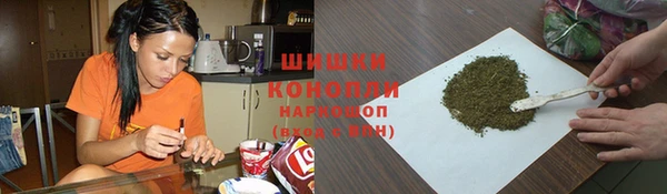 прущие грибы Арсеньев