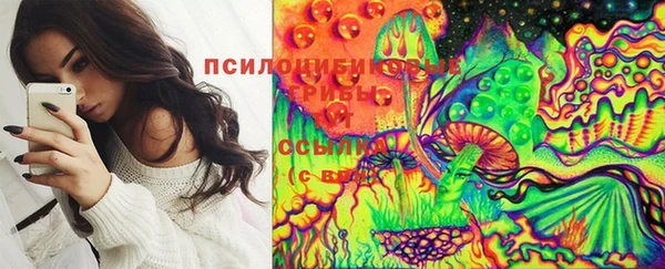 прущие грибы Арсеньев