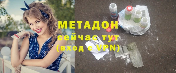 прущие грибы Арсеньев