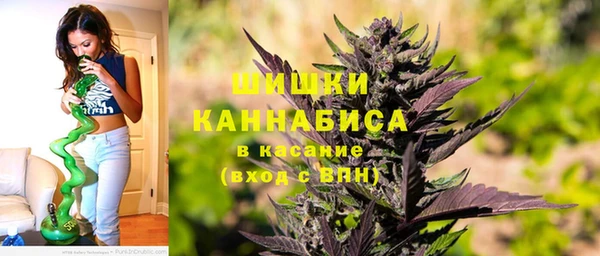 прущие грибы Арсеньев