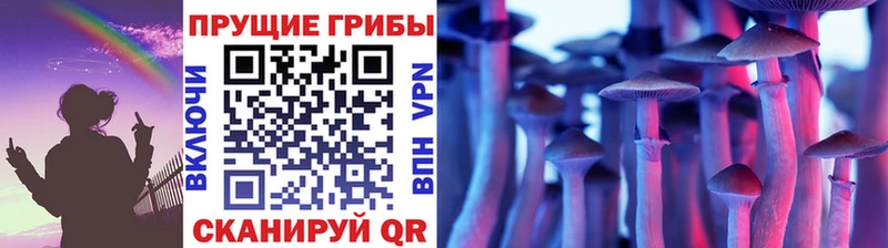 Галлюциногенные грибы мицелий  Кирово-Чепецк 